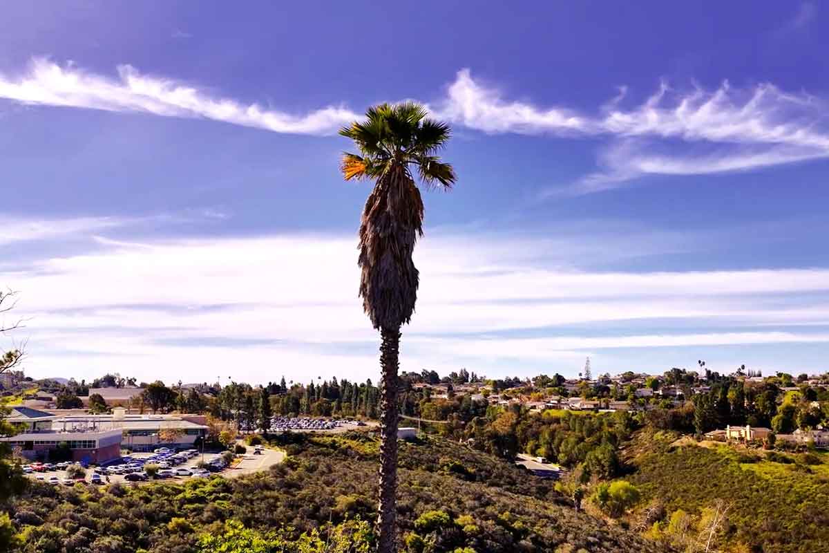 Same-Day Shoot and Delivery Video